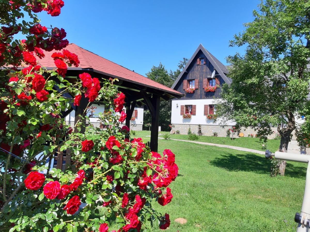Отель Pansion Breza Плитвицкие озёра Экстерьер фото